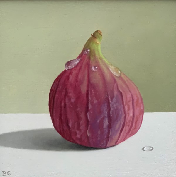 Fig